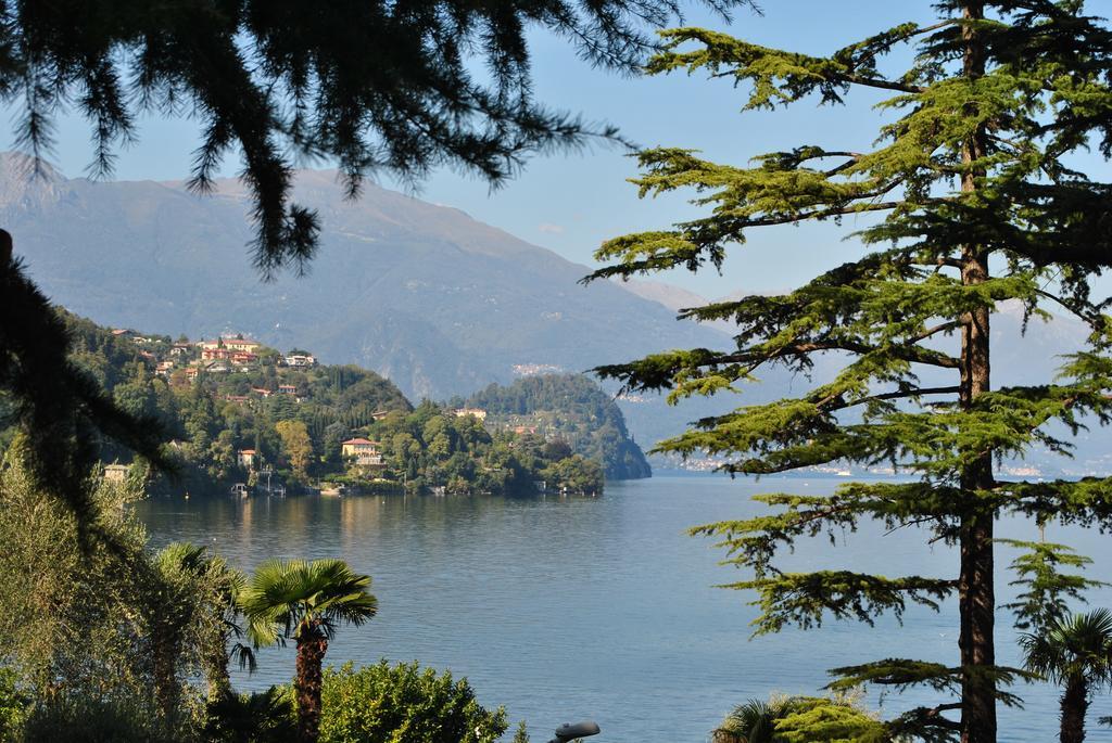 Villa Ortensia Oliveto Lario Номер фото